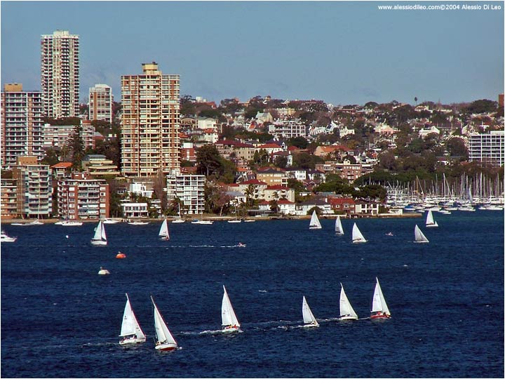 Taroonga zoo Sydney