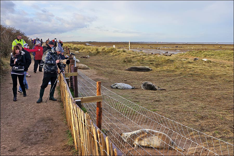 Donna Nook