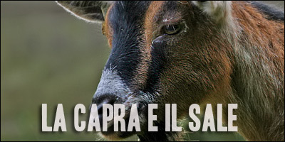 Clicca per leggere la capra e il sale