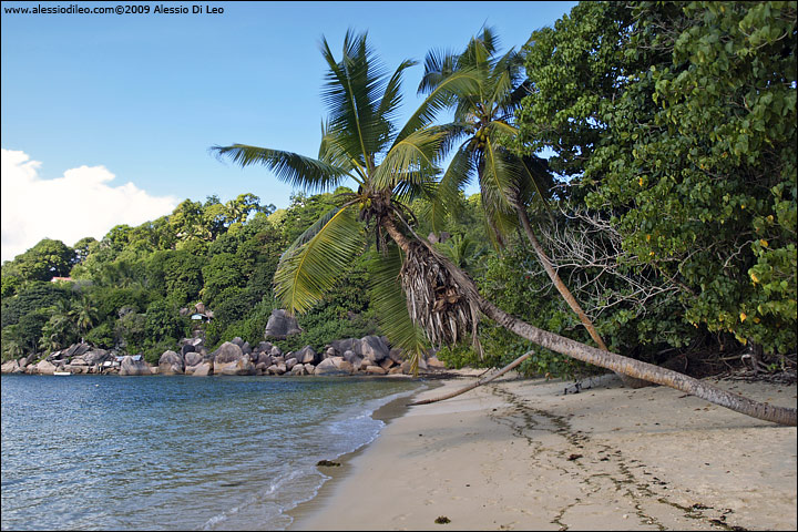 Anse Maria Louise - Seychelles
