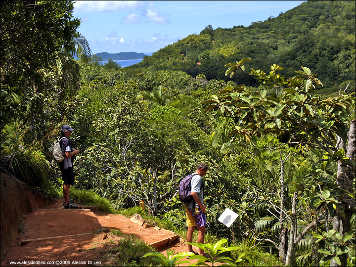Belvedere vicino al rifugio nord - Seychelles