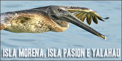 Clicca per guardare le foto