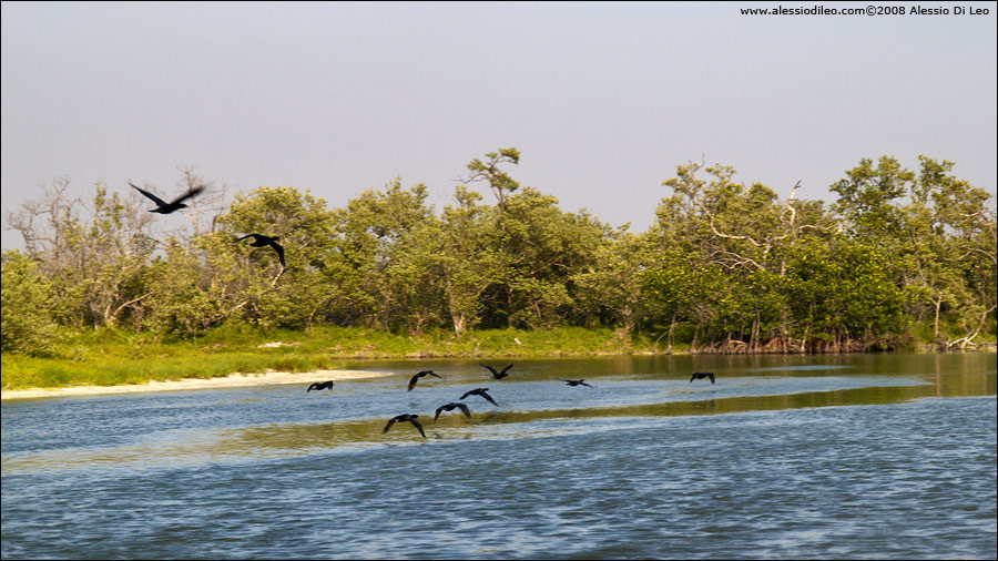 Isla Holbox