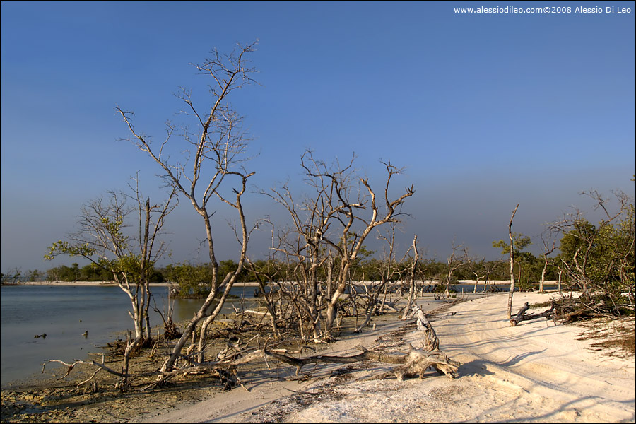 Isla Holbox