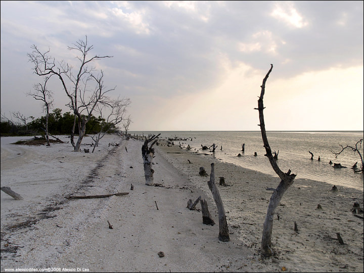 Isla Holbox