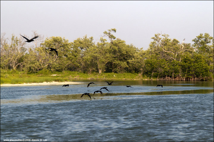 Isla Holbox