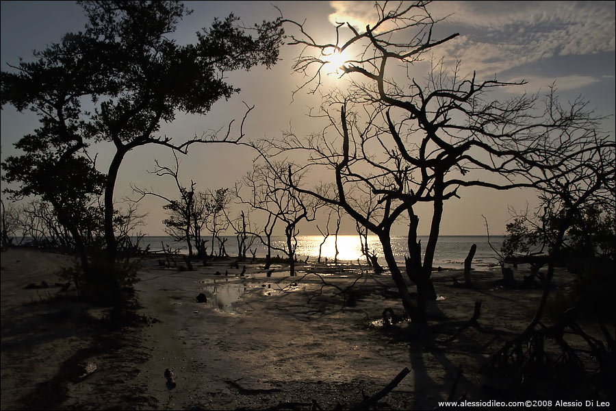 Isla Holbox