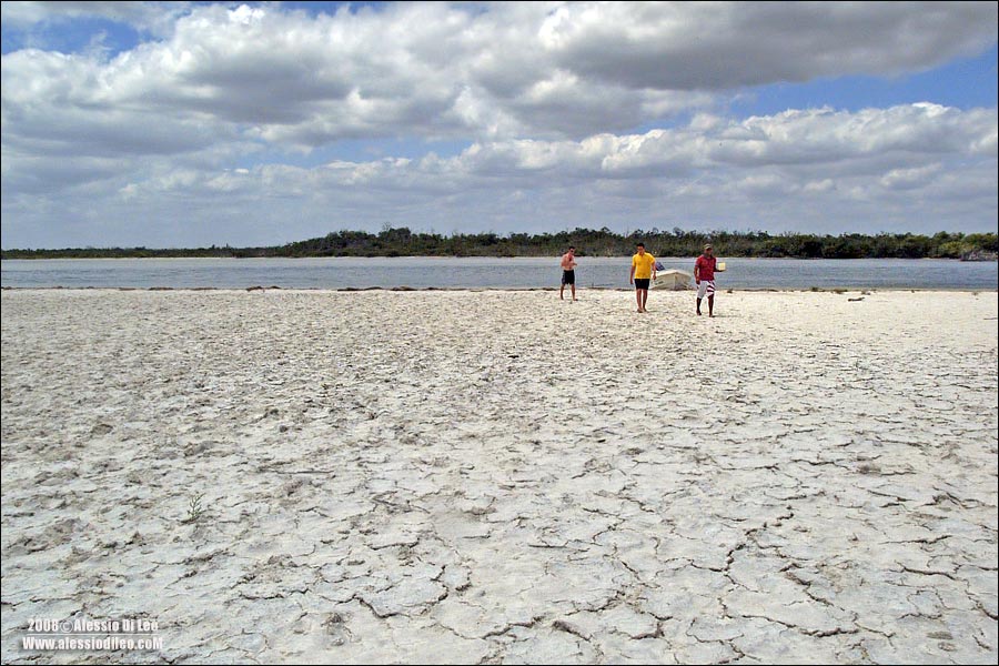 Salina Rio Lagartos 