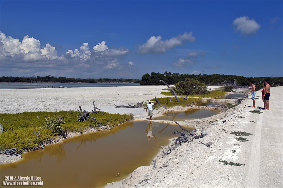 Salina Rio Lagartos 