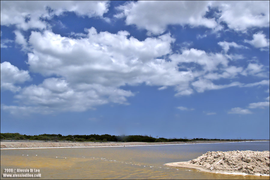 Salina Rio Lagartos 