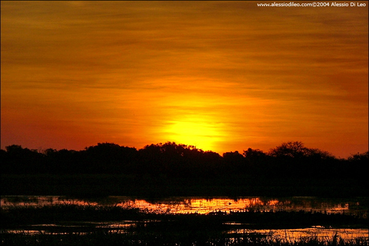 Una volta tramontato il sole, il cielo si tinge di un bellissimo rosso fuoco - Yellow Water