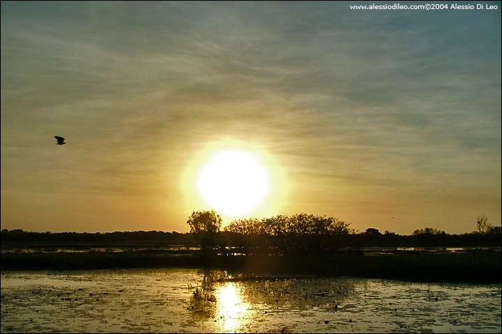 L'inizio del suggestivo tramonto sulle Yellow Water