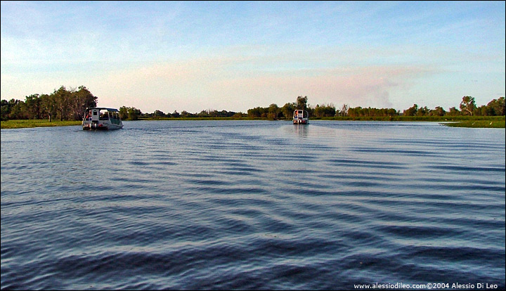 I battelli scorrono lenti lungo il  billabong - Yellow Water