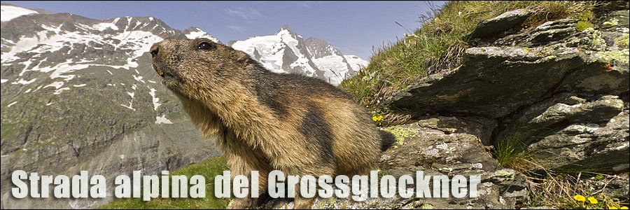 Strada alpina del Grossglockner