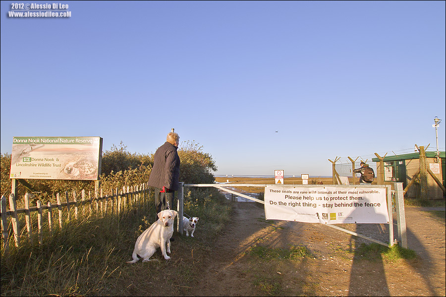 Donna Nook