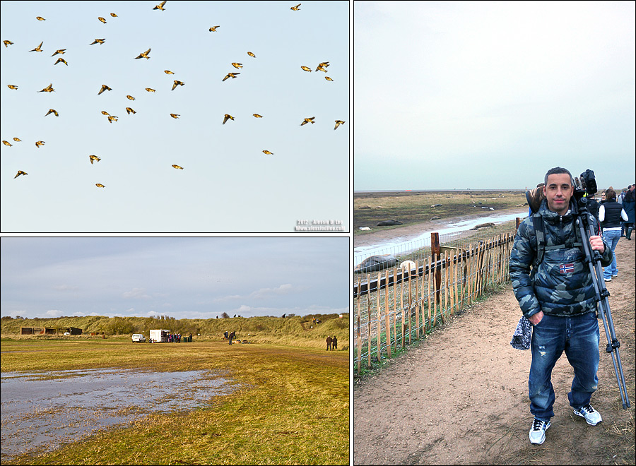 Donna Nook