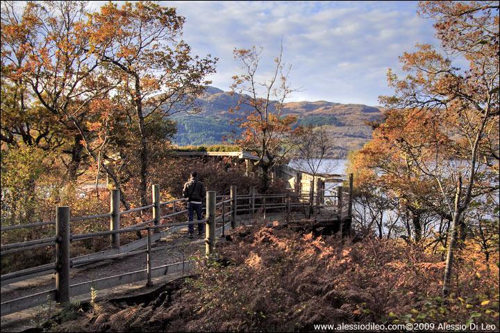 Ardnamurchan - Scozia