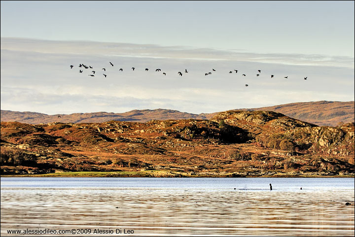 Loch Moidart - Scozia