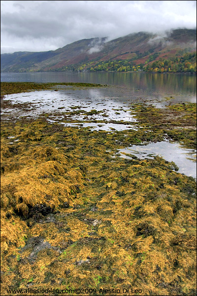 Eilean Donan Castle