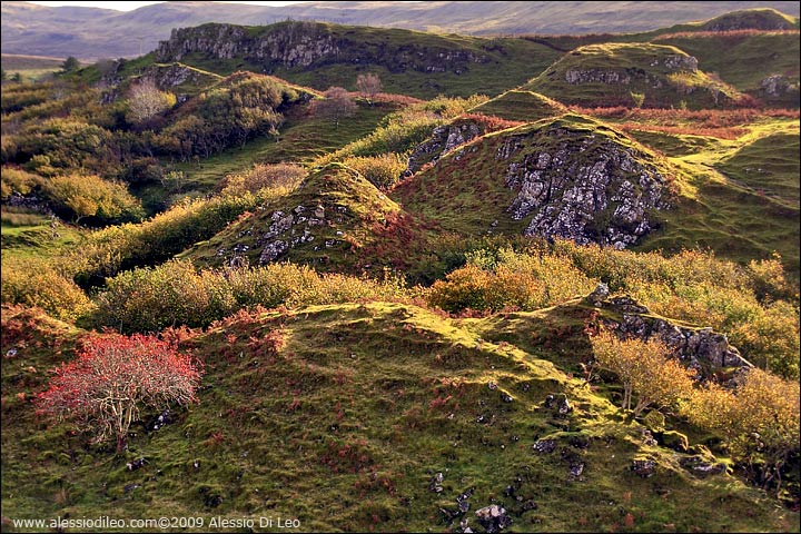 Fairy Glen - Scozia