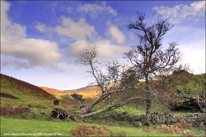 Fairy Glen - Scozia