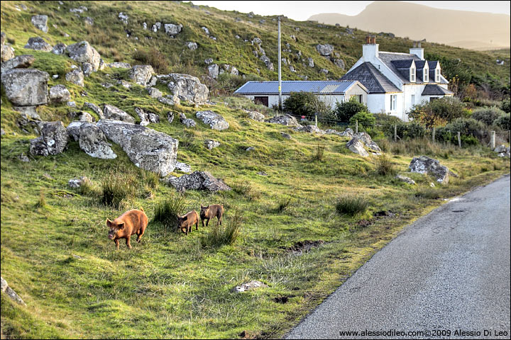 Staffin Bay - Scozia