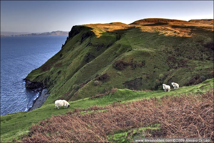Trotternish - Scozia