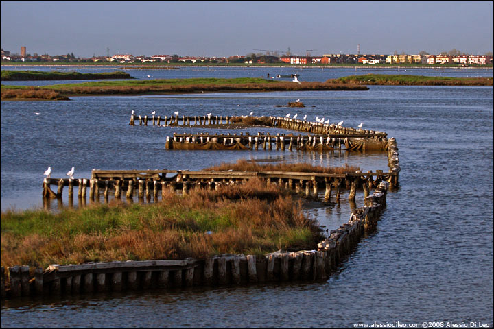 Saline di Comacchio