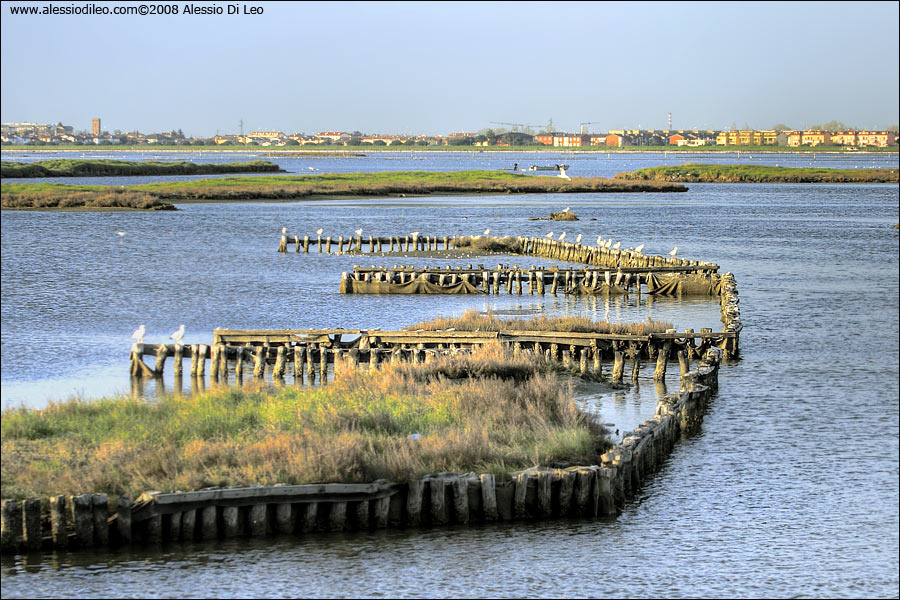 Saline di Comacchio