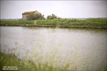 Comacchio