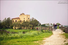 Comacchio