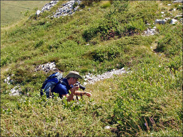 Monte Baldo