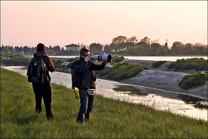 Saline di Cervia