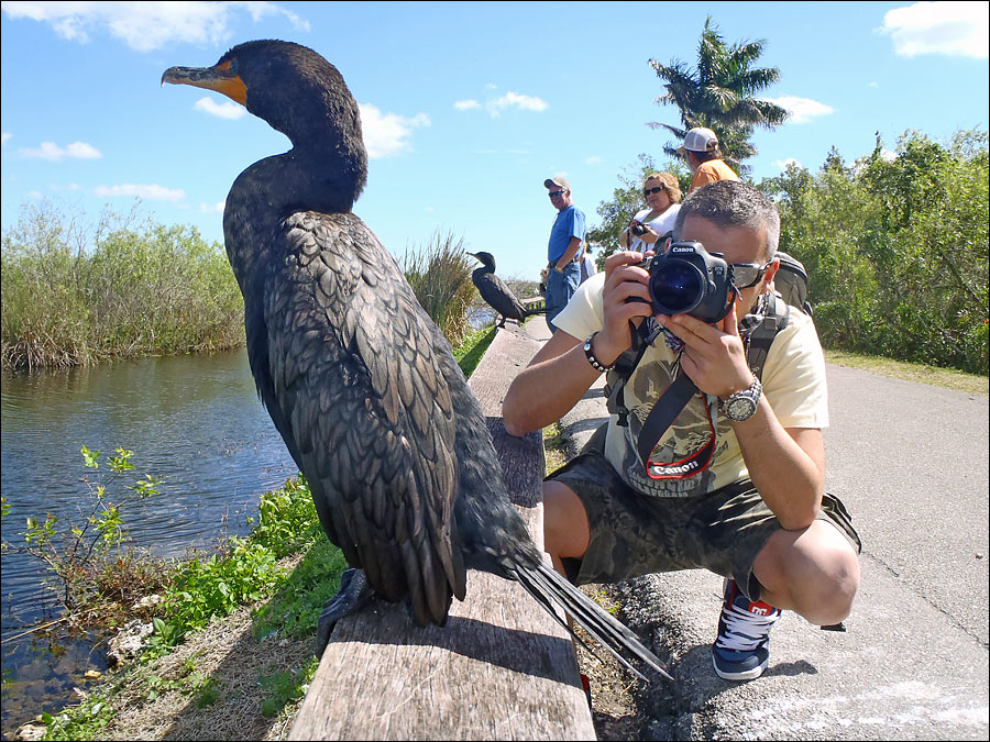 Alessio-everglades.jpg