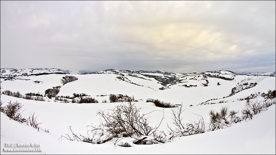 Forli-neve-1.jpg