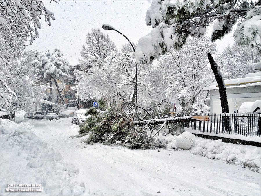 Forli-neve-4.jpg