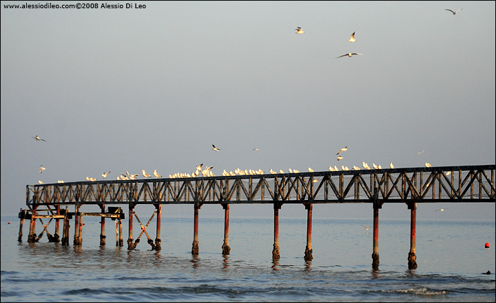 Pontile-zadina.jpg