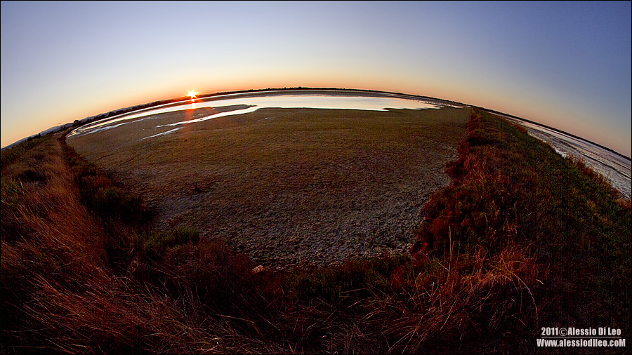 Saline-cervia-fish.jpg