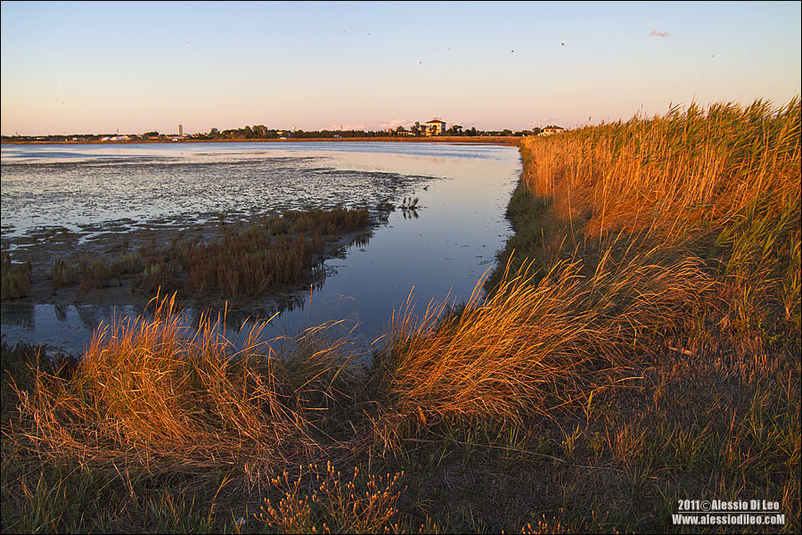 Saline-cervia-tramonto-1.jpg