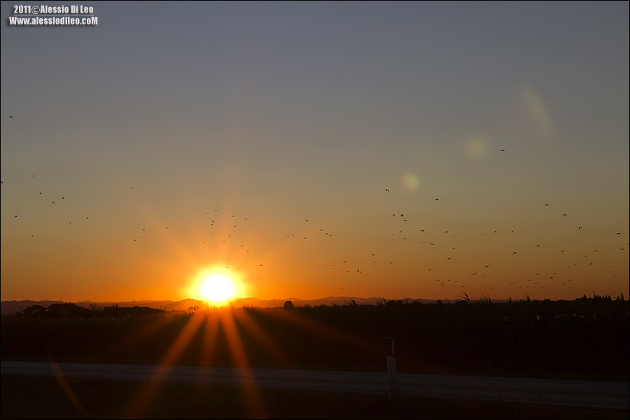 Saline-cervia-tramonto-2.jpg