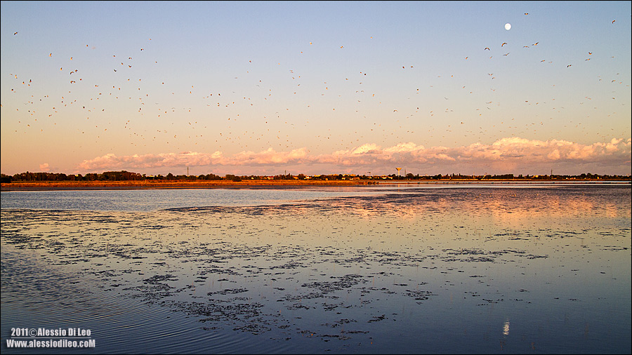 Saline-cervia-tramonto.jpg