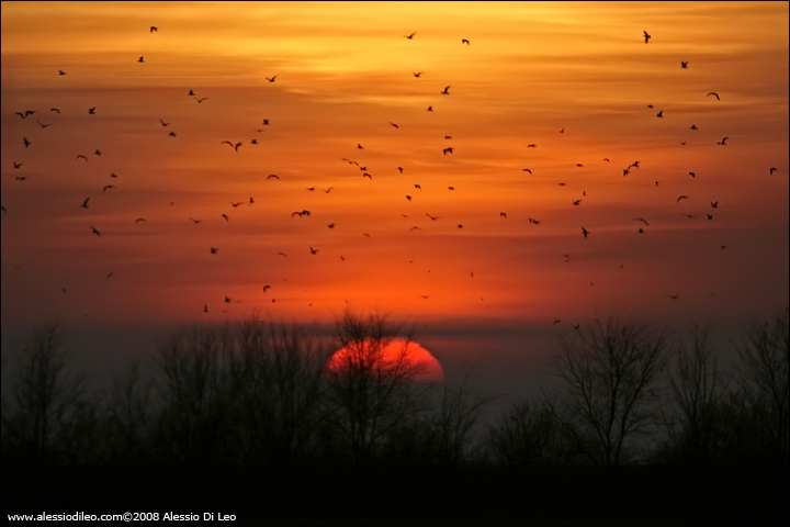 Tramonto_mezzano.jpg