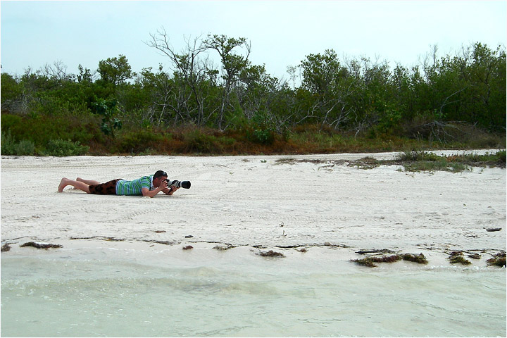 Isola di Holbox - Fotografando i fratini
