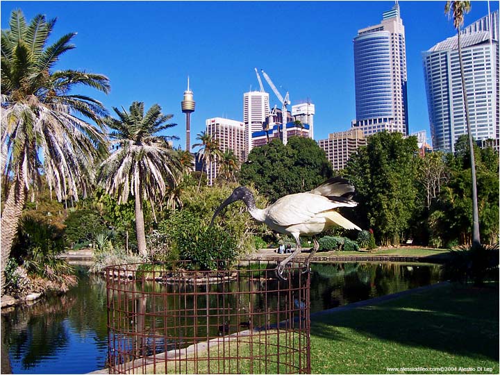 Royal botanic garden