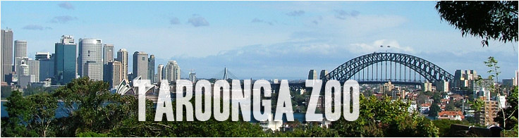 Guarda le immagini del Taroonga Zoo