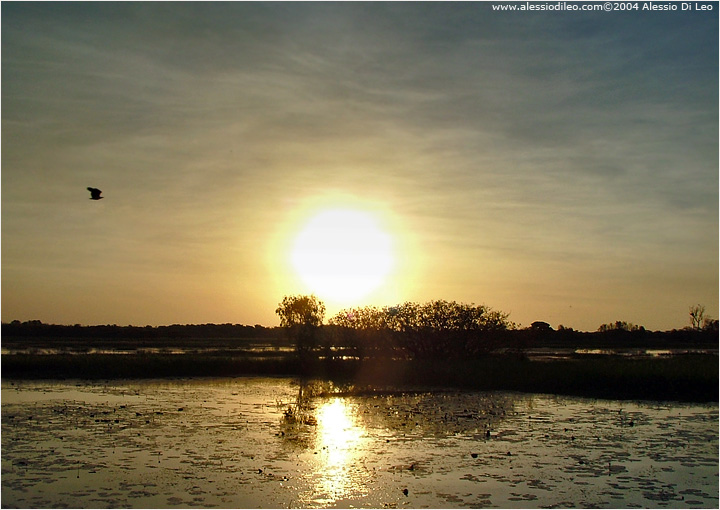 L'inizio del suggestivo tramonto sulle Yellow Water