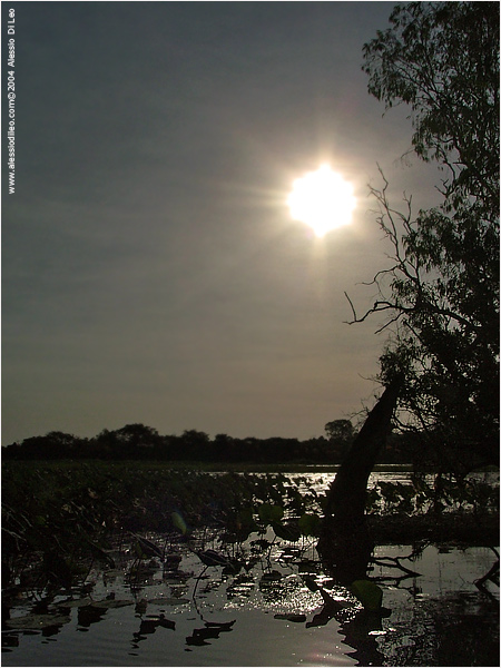 Controluce verso il tramonto