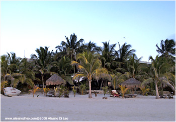 Hotel la Palapa - Isla Holbox - Isla Holbox