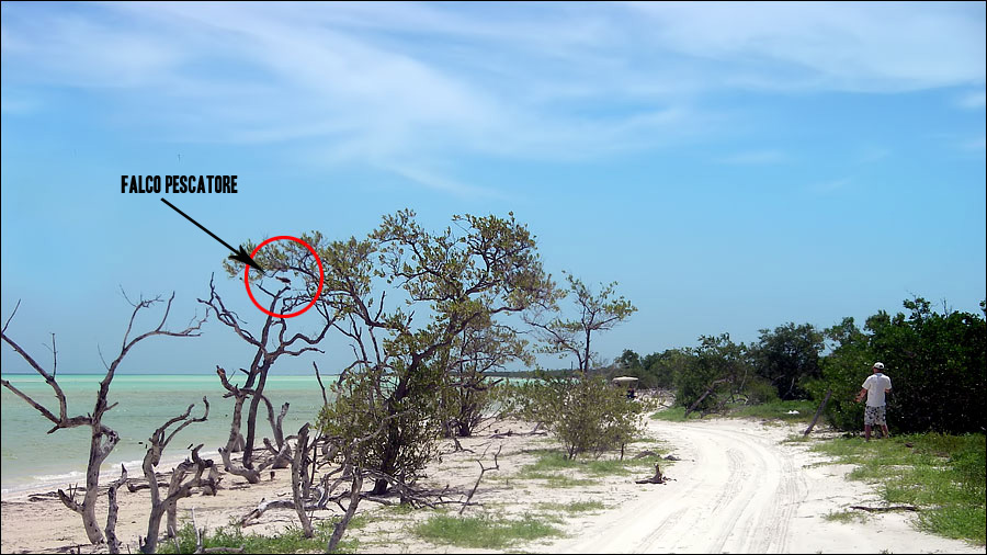 Isla Holbox