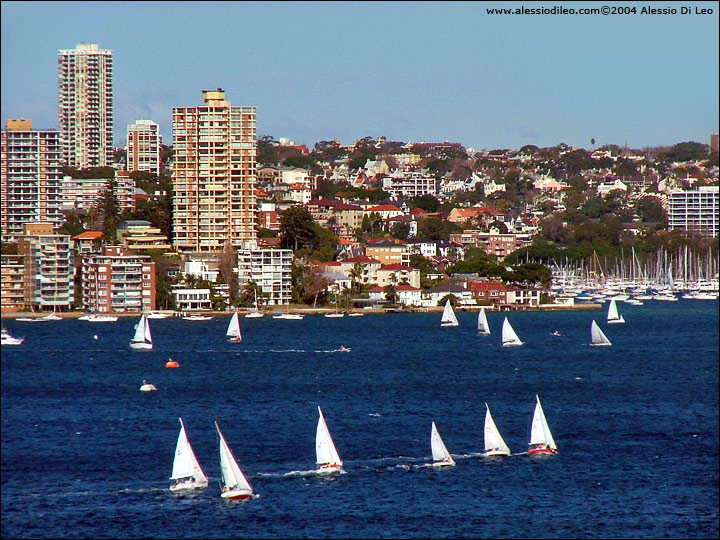 La baia di Sydney